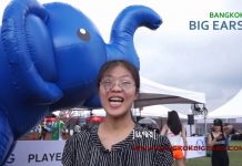 พิธีกรรมทำขวัญช้างแบบโบราณ ในงานการแข่งขันโปโลช้างประจำปี 2560