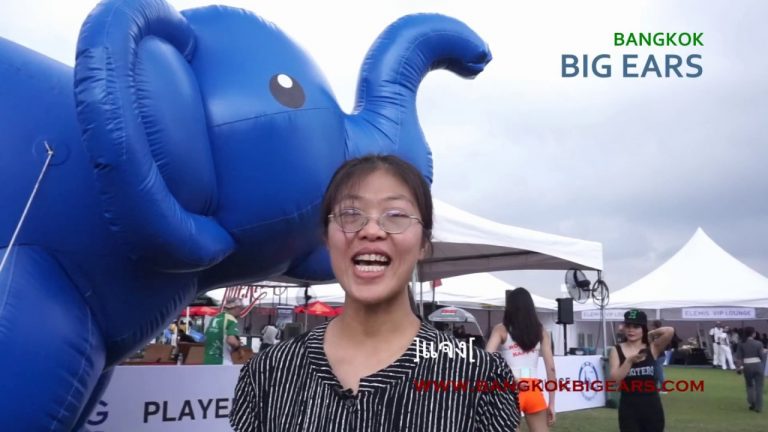 พิธีกรรมทำขวัญช้างแบบโบราณ ในงานการแข่งขันโปโลช้างประจำปี 2560