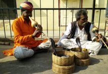 แอร์เอเชียบินตรง – กรุงเทพ-ชัยปุระ และติรุจิรัปปัลลิ