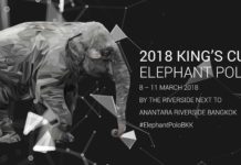 งานช้าง ริมฝั่งเจ้าพระยา