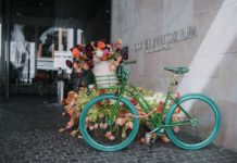 ทิวลิปบานที่คอนเซอร์วาทอเรียม