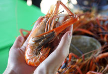 เที่ยว “ปากมัน” ที่ราชบุรี