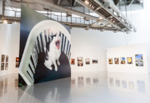 ศิลปะ – ชมภาพถ่ายฝีพระหัตถ์ สมเด็จพระเทพรัตนราชสุดาฯ ปี 2561