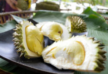 “สวนบ้านเรา” วัดใจแฟนพันธุ์แท้หมอนทอง