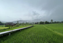 Nan – Soothing tired eyes with a hundred shades of green Pua Nan