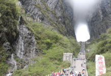 Zhangjiajie: Pillars in the mist