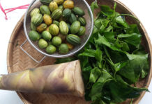 Indulge in Organic Delights