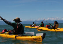 Marahau: A Hidden Gem on New Zealand’s South Island