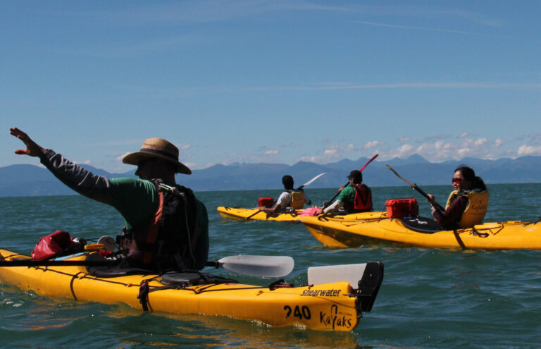 Marahau: A Hidden Gem on New Zealand’s South Island
