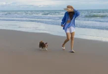 Tail-Wagging Weekend Bliss A pet-friendly resort in Rayong, Thailand