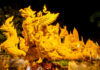 What’s On in Thailand: July 2026