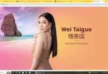 ‘Wei Tai Guo’ Launches to Attract China’s FIT Market Wei Tai Guo