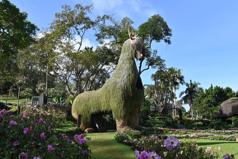 Colours of Doi Tung