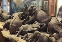 Chiang Mai: The Elephant of a Different Feather Ban Chang Nak