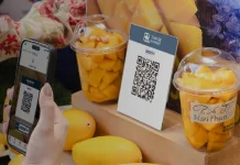 Seamless Travel, Cashless Pay