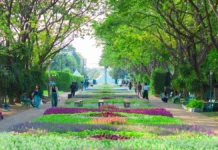 A Garden of Wonders Suan Luang Rama IX