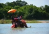 On Elephant Back to Monkhood