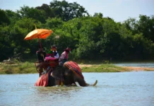 On Elephant Back to Monkhood
